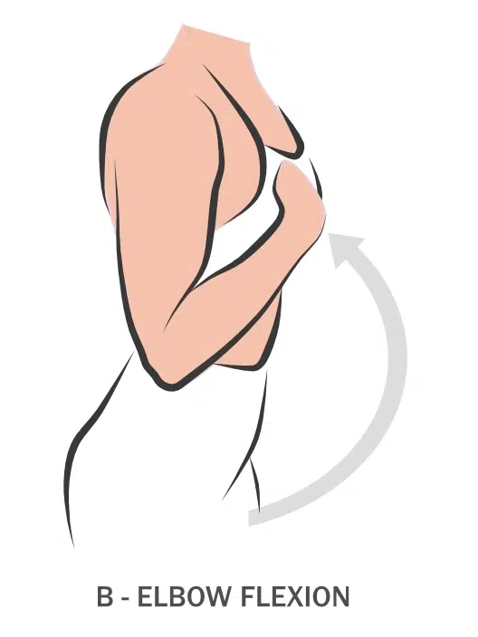 advaya-healing-bodywork-bicep-02