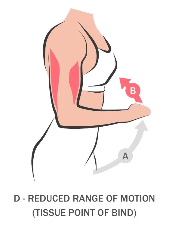 advaya-healing-bodywork-bicep-41