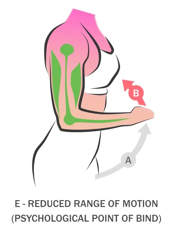 advaya-healing-bodywork-bicep-51